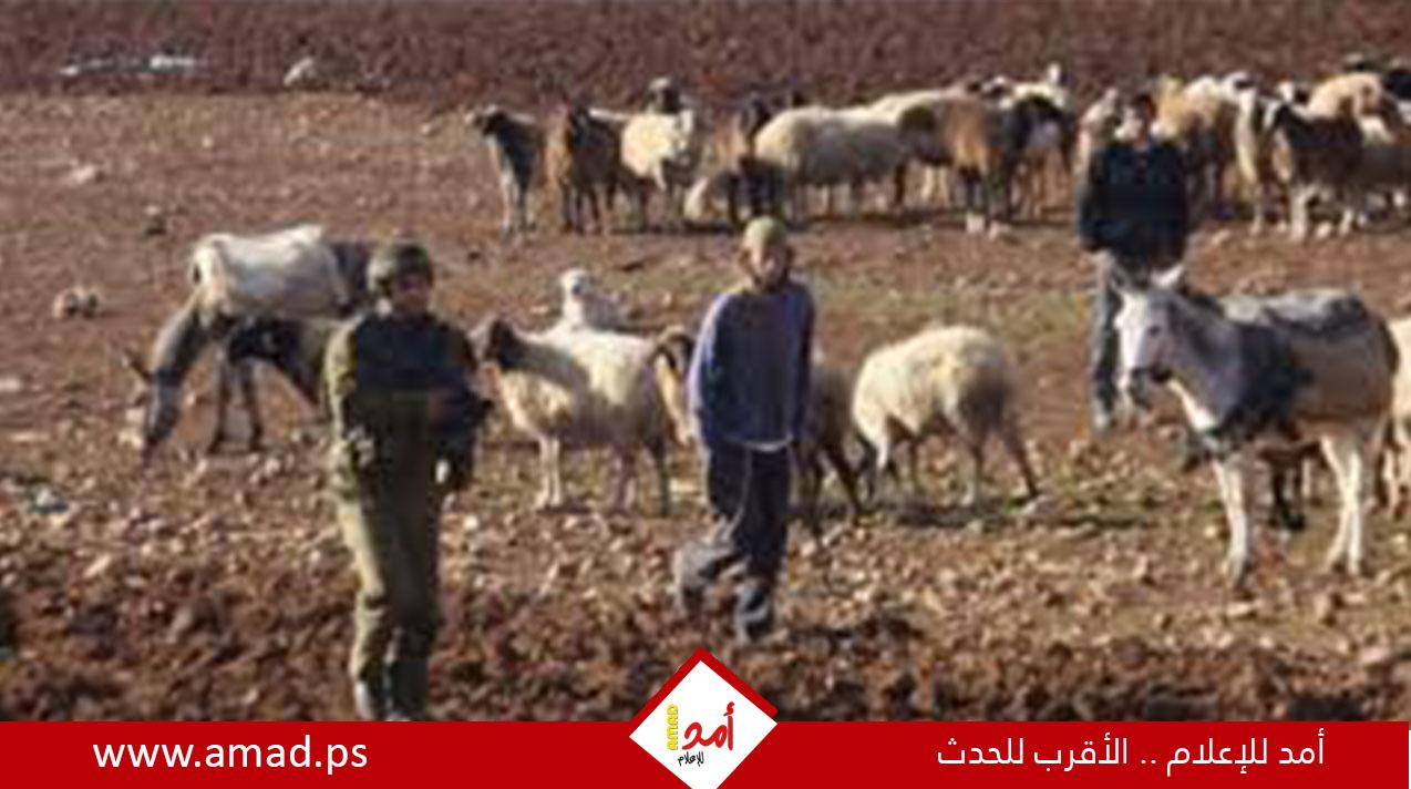 مسؤولون بجيش الاحتلال يحذرون من تصاعد عنف المستوطنين في الضفة