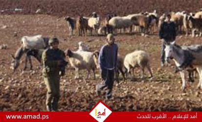 مسؤولون بجيش الاحتلال يحذرون من تصاعد عنف المستوطنين في الضفة