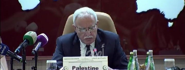 المالكي يرحب بالإجماع الدولي والتصويت على قرارات فلسطين بما فيها قرار "الأونروا"