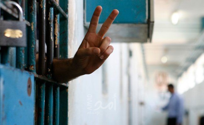 القدس: سلطات الاحتلال تفرج عن الفتى "طه أبو ريالة" من العيسوية