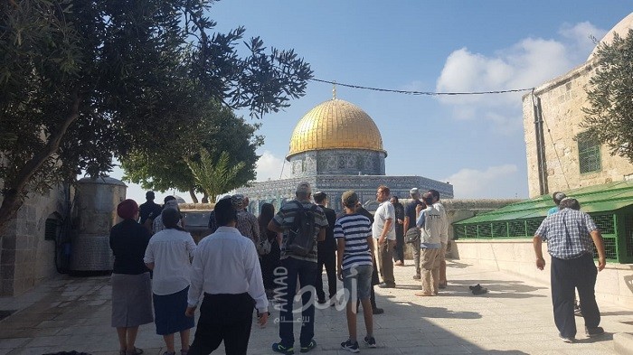 القدس: قوات الاحتلال تعتقل ثلاث نساء وشاب من المسجد الأقصى