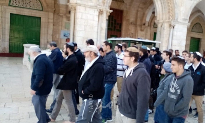 القدس: عشرات المستوطنين يقتحمون المسجد الأقصى بحماية من شرطة الاحتلال