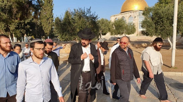 القدس: (62) مستوطناً يقتحمون ساحات الأقصى بحراسة مشددة