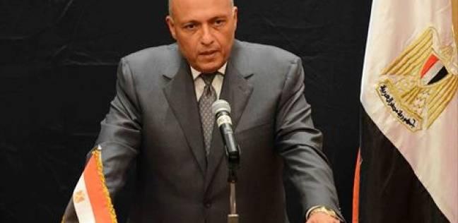 الخارجية المصرية: مصر تواجه حملة إعلامية شرسة