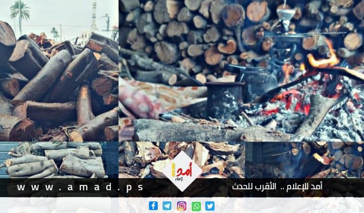 بالصور.. موسم "الخشب" في غزة ثروة ثمينة لأصحابها في فصل الشتاء