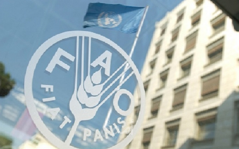 الفاو: دول عربية وجدت البديل للقمح الروسي والأوكراني مثل مصر (فيديو)
