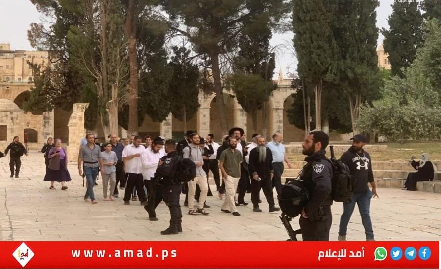 مستوطنون إرهابيون يقتحمون ساحات "المسجد الأقصى" بحراسةٍ مشددة