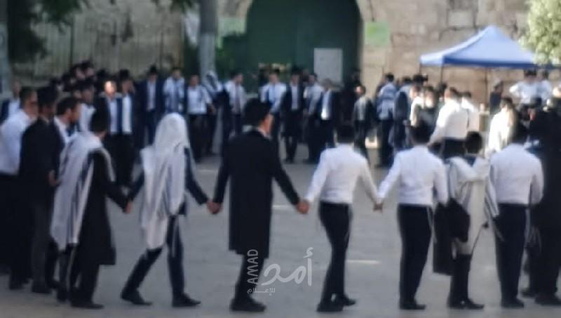 مستوطنون يقتحمون "الأقصى" ويؤدون طقوساً تلمودية أمام "باب الأسباط"