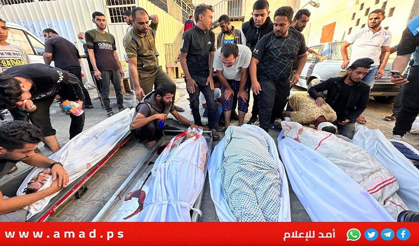 الصحة: ارتفاع عدد ضحايا الحرب العدوانية على قطاع غرة إلى 29.782 شهيد و70.043 مصابا