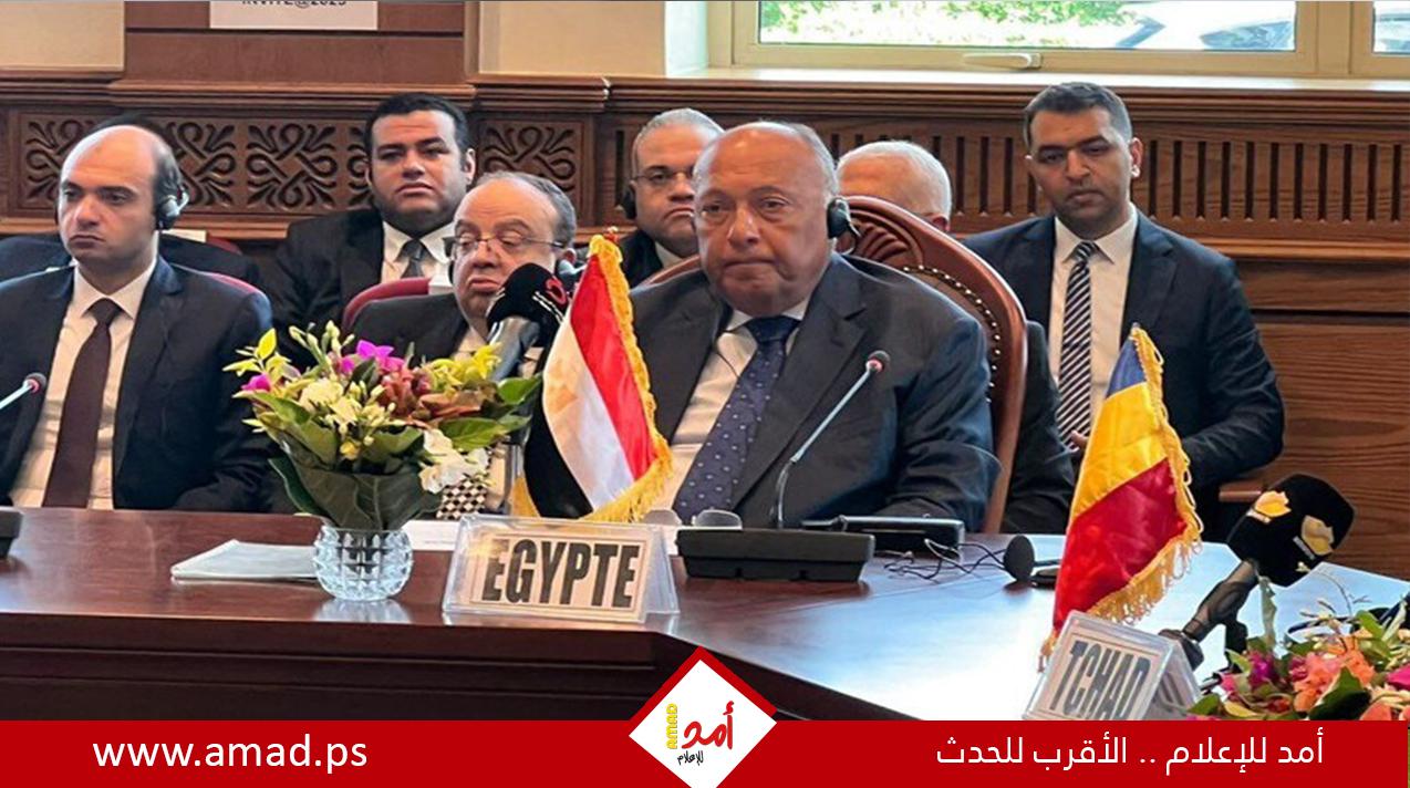 شكري ينفي تعرض مصر لضغوط أمريكية بسبب حرب غزة ويرفض أي ترتيبات انفصالية