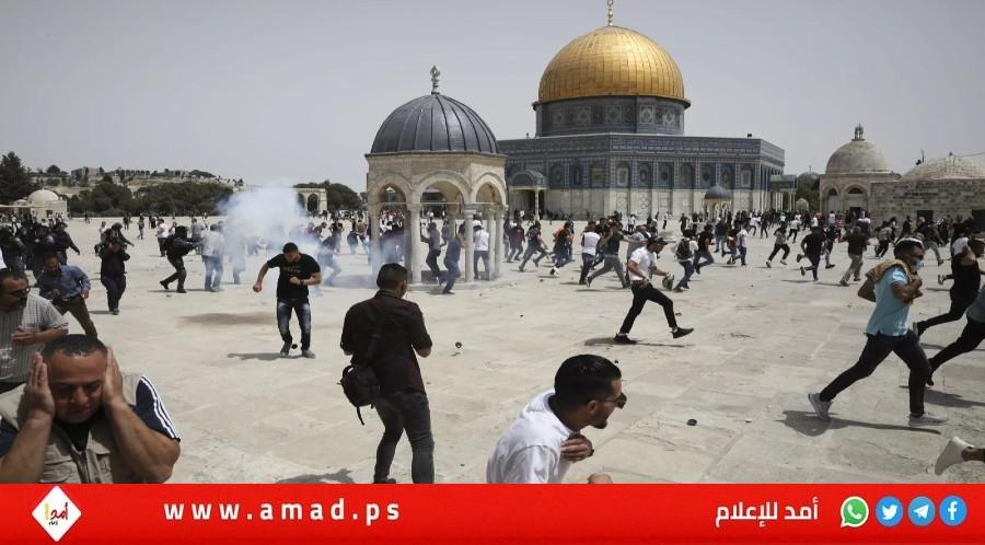 المفتي العام يحذر من حرب دينية بسبب العدوان المتصاعد ضد المسجد الأقصى