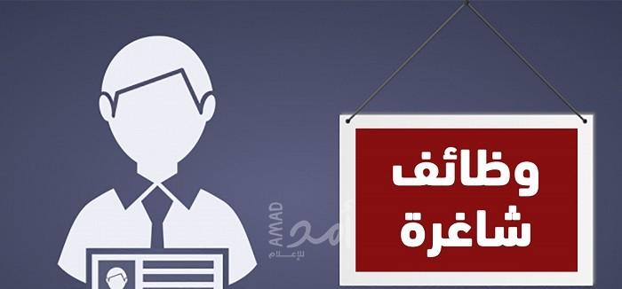 غزة: ديوان موظفي حماس يعلن عن وظائف جديدة - مرفق رابط