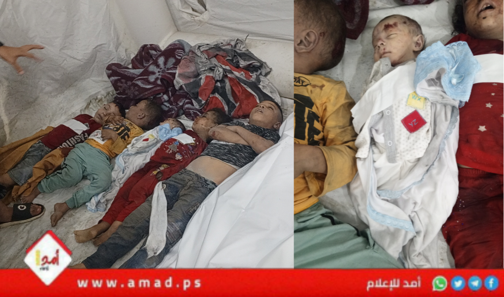 الصحة الفلسطينية: (11360) شهيداً منذ بدء الحرب العدوانية على قطاع غزة والضفة