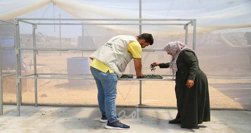 العمل الزراعي يدعم جمعية رفح التعاونية الزراعية بإنشاء محطة تسويقية