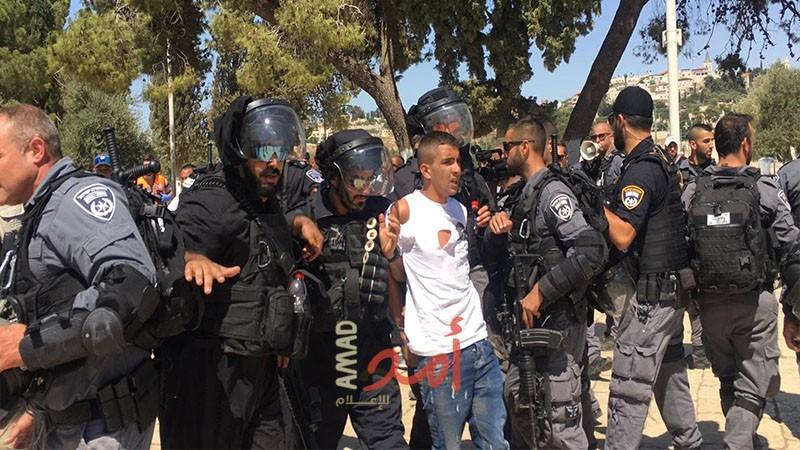 جيش الاحتلال يعتقل ثلاثة مواطنين من المسجد الأقصى