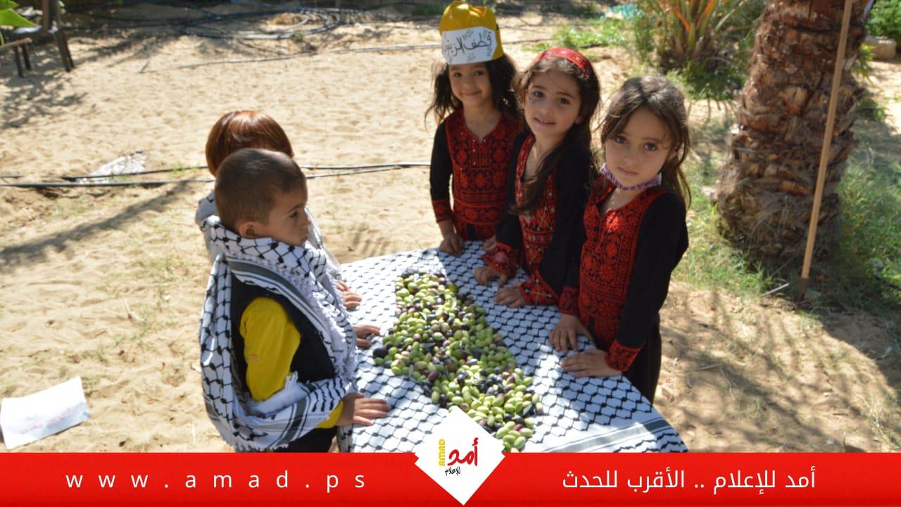 إحياءًا للتراث.. أطفال يشاركون الفلاح الفلسطيني قطف ثمار الزيتون - فيديو