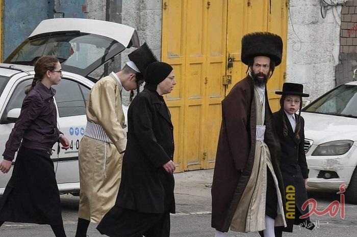 مستوطنون يعتدون على المزارعين في مسافر يطا جنوب الخليل
