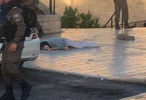 "هآرتس العبرية": 25 رصاصة أصابت الطفلة حجيجي دون أن تشكل خطرا على الجنود