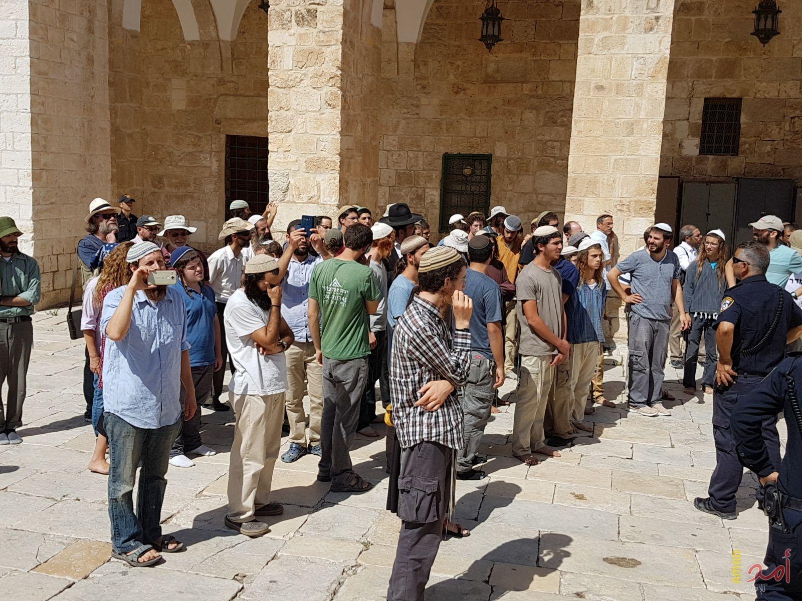 مستوطنون يواصلون اقتحام الأقصى وسط حماية شرطة الاحتلال