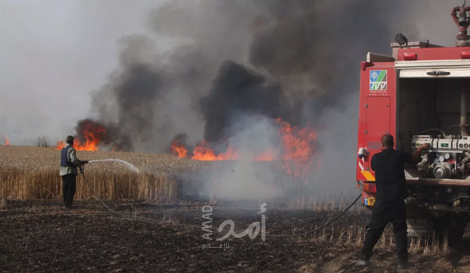 الخليل: مستوطنون يحرقون أشجار في أراضي المواطنين شرق يطا