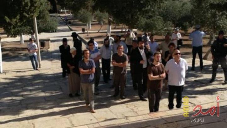 عشرات المستوطنين يقتحمون ساحات الأقصى بحراسةٍ مشددة