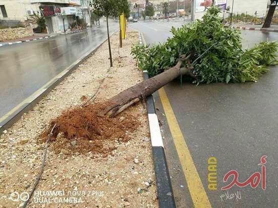 أضرار متفاوتة بنابلس وسلفيت بفعل الرياح والأمطار