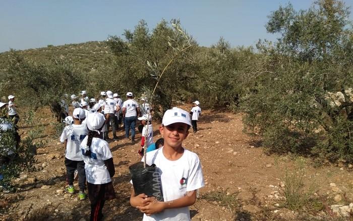 صندوق تطوير وإقراض الهيئات المحلية ينظم يوم عمل تطوعي لزراعة الزيتون في المسقوفة