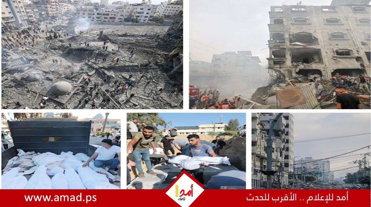 ألمانيا أمام "العدل الدولية" في أبريل بشأن دعم "الإبادة الجماعية" في غزة