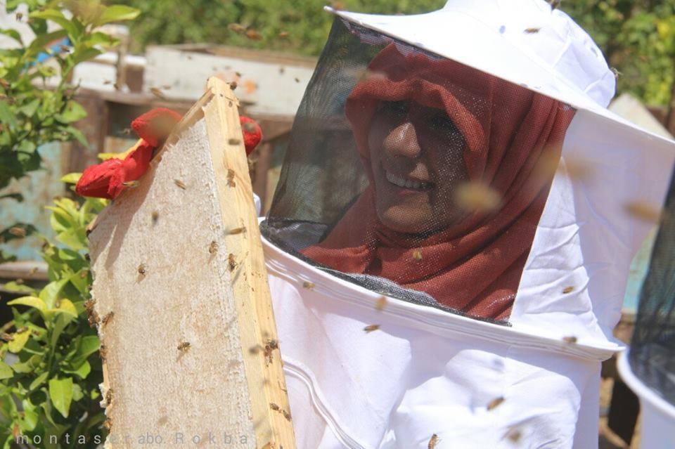 موسم جمع العسل في مناحل التعاون بالشمال