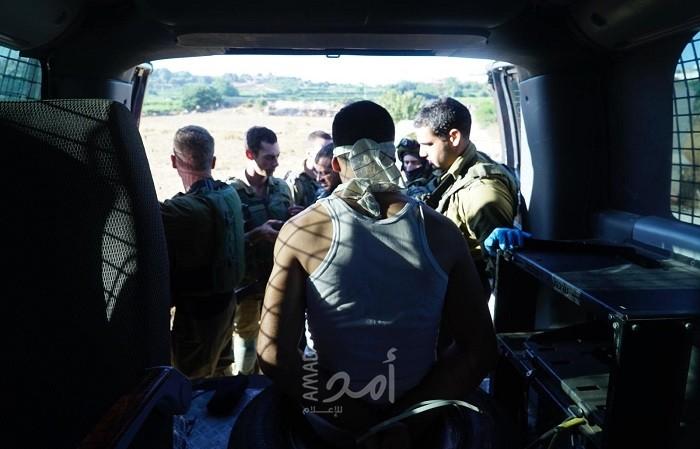 ارشيفية