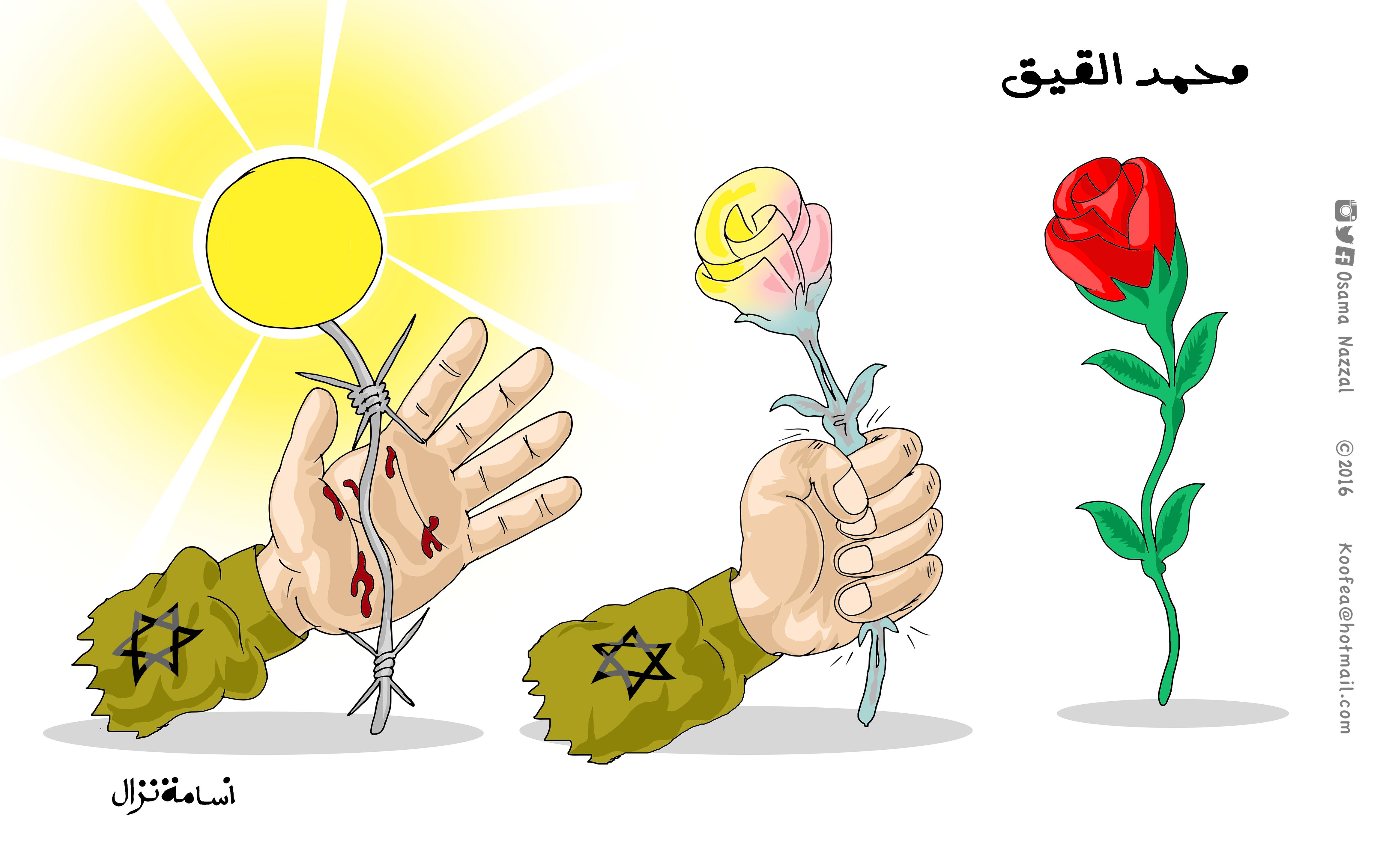 القيق
