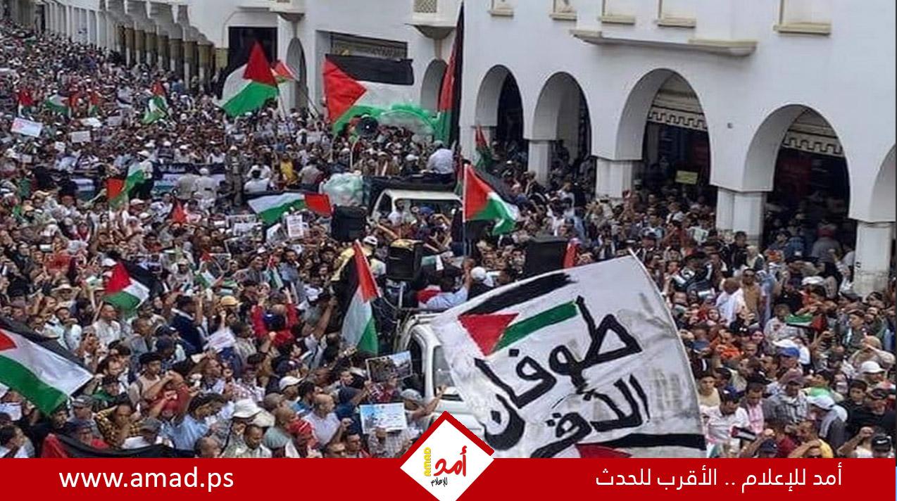 مظاهرات شعبية في مدن وعواصم عالمية منددة بالحرب العدوانية على غزة