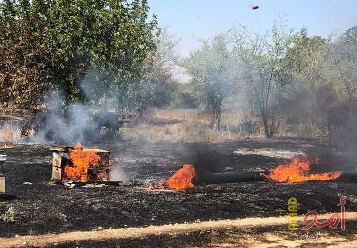 اندلاع حريق في الأحراش شمال قطاع غزة