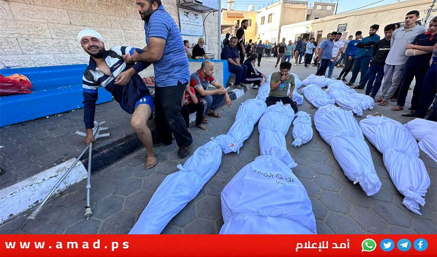  ارتفاع عدد الشهداء  إلى 11320 بينهم 4650 طفلا و3145 امرأة