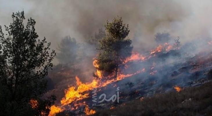 اندلاع حرائق في "فجة وأشكول" بفعل بالونات حارقة أطلقت من غزة