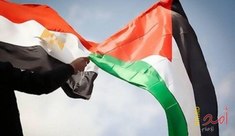 الخارجية المصرية تطالب إسرائيل مجدداً بوقف الأعمال العسكرية في غزة
