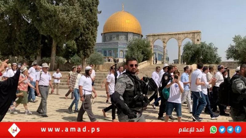 مستوطنون إرهابيون يقتحمون "الأقصى" بحراسةً مشددة