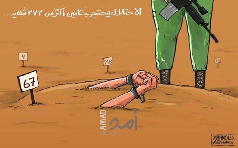 الاحتلال يحتجز جثامين أكثر من 373 شهيد
