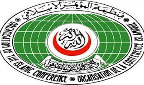 التعاون الإسلامي تنجح في إزالة ملصقات إسرائيلية تزعم أحقيتها في القدس بالأمم المتحدة