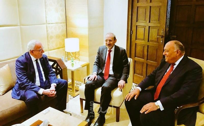 شكري يبحث مع الصفدي والمالكي القضية الفلسطينية على مختلف الأصعدة