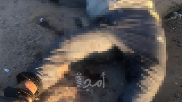الداخلية المصرية تعلن تفاصيل ضربة جديدة للعناصر الإرهابية بشمال سيناء