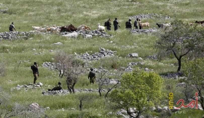 الاحتلال يمنع مواطنا من استصلاح أرضه في بيت جالا