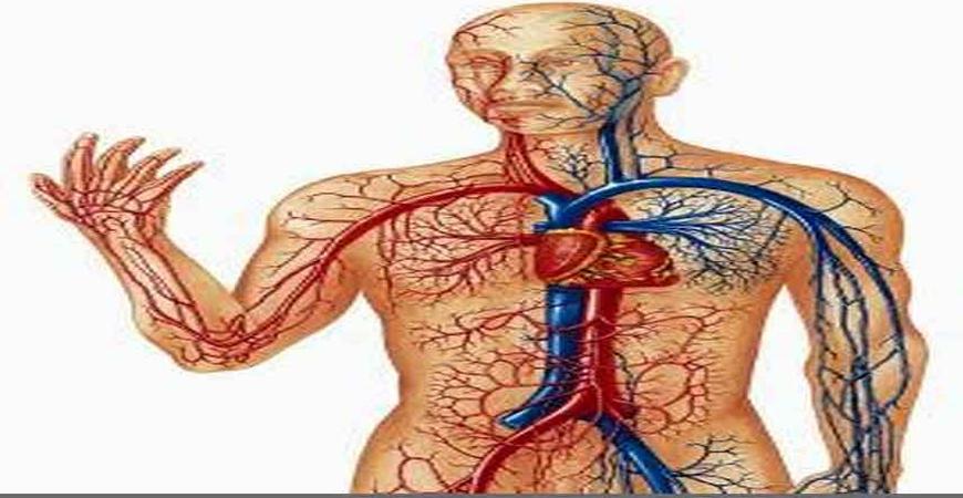5 أطعمة تمنع سريان الدم وتسبب الجلطات