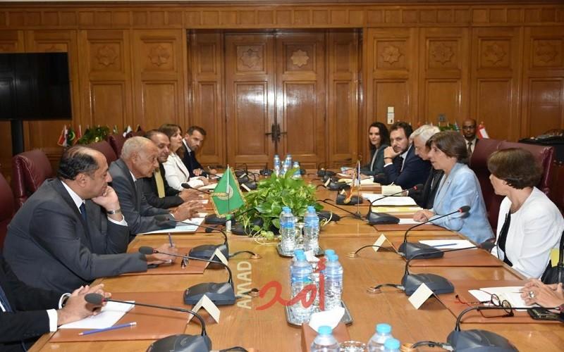 أبو الغيط يؤكد أهمية الإعتراف بالدولة الفلسطينية المستقلة على حدود الرابع من يونيو ١٩٦٧