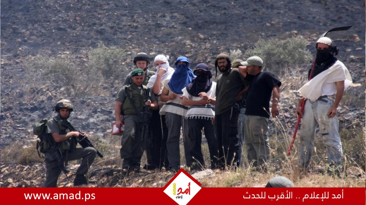 مستوطنون إرهابيون يهاجمون المواطنين على طريق "حوارة -قلقيلية"