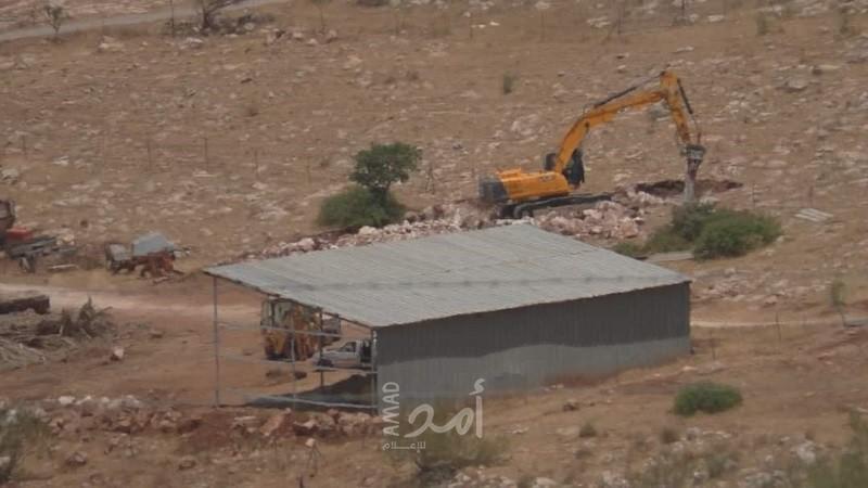 قوات الاحتلال تقتلع عشرات أشجار زيتون في الأغوار