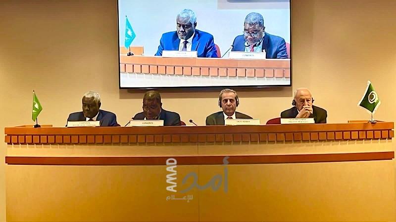 أبو الغيط: يعرب عن تطلعه لعقد القمة العربية الأفريقية الخامسة