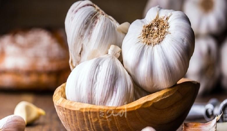 الثوم ضد مصاصي الدماء...توصيات بشأن مكافحة البعوض