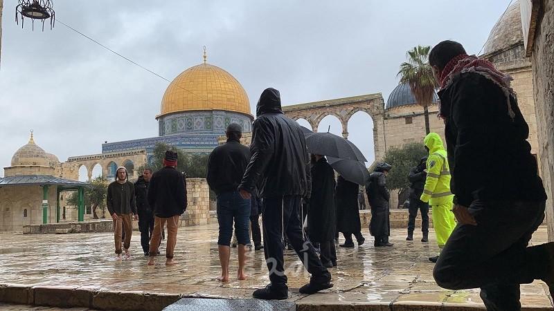 القدس: مستوطنون يقتحمون ساحات "الأقصى"