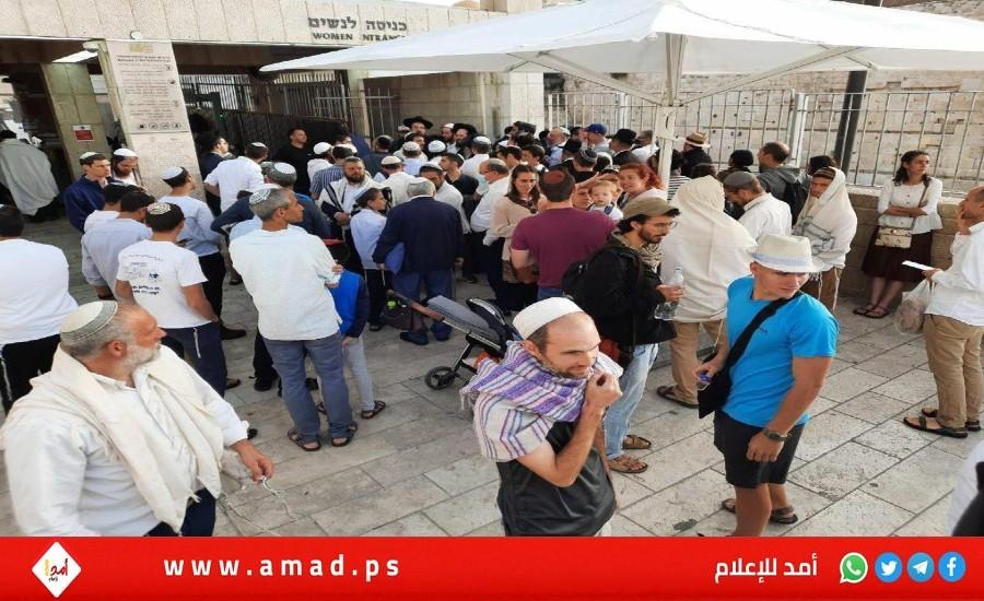 مستوطنون إرهابيون يقتحمون ساحة "المسجد الأقصى" تحت حراسة قوات الاحتلال